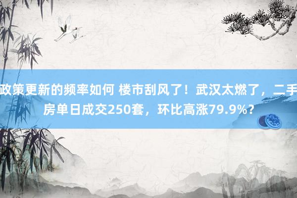 政策更新的频率如何 楼市刮风了！武汉太燃了，二手房单日成交250套，环比高涨79.9%？