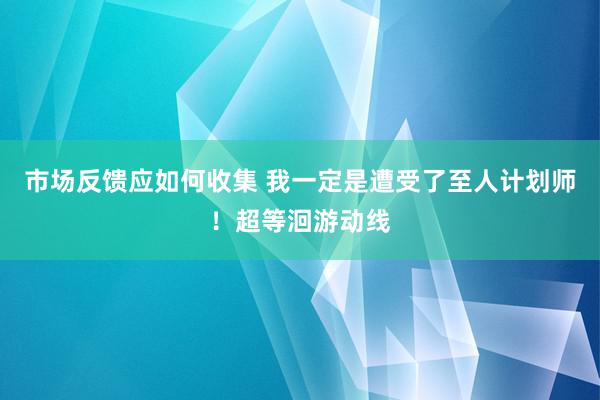 市场反馈应如何收集 我一定是遭受了至人计划师！超等洄游动线