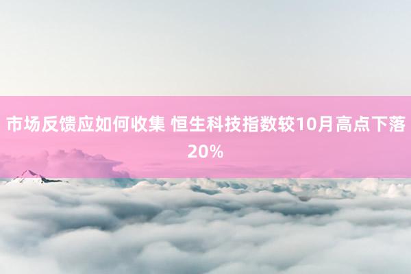 市场反馈应如何收集 恒生科技指数较10月高点下落20%